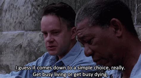 shawshank redemption memes|Shawshank Redemption Gif GIFs